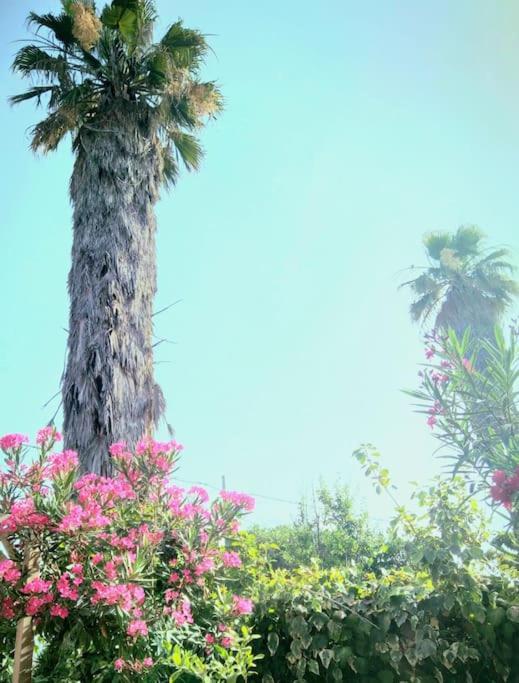 La Casetta Colorata Hotel Catania Kültér fotó